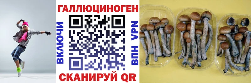 Псилоцибиновые грибы Cubensis  купить закладку  Белый 